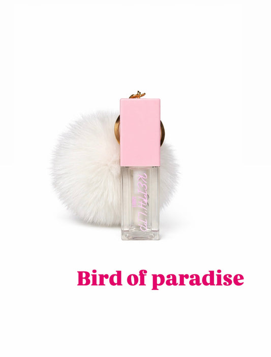 Bird of paradise